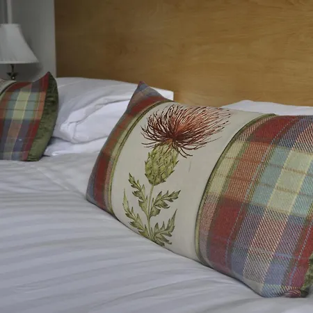 Casa de hóspedes Arden House