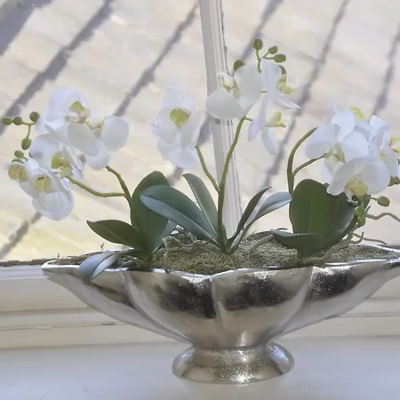 Pensjonat Arden House Harrogate